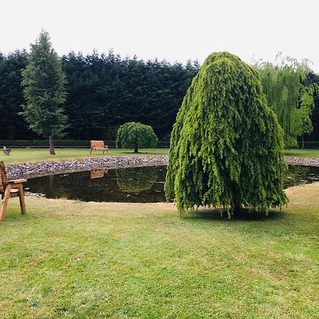 مبيت وإفطار سلايغو Castledale المظهر الخارجي الصورة