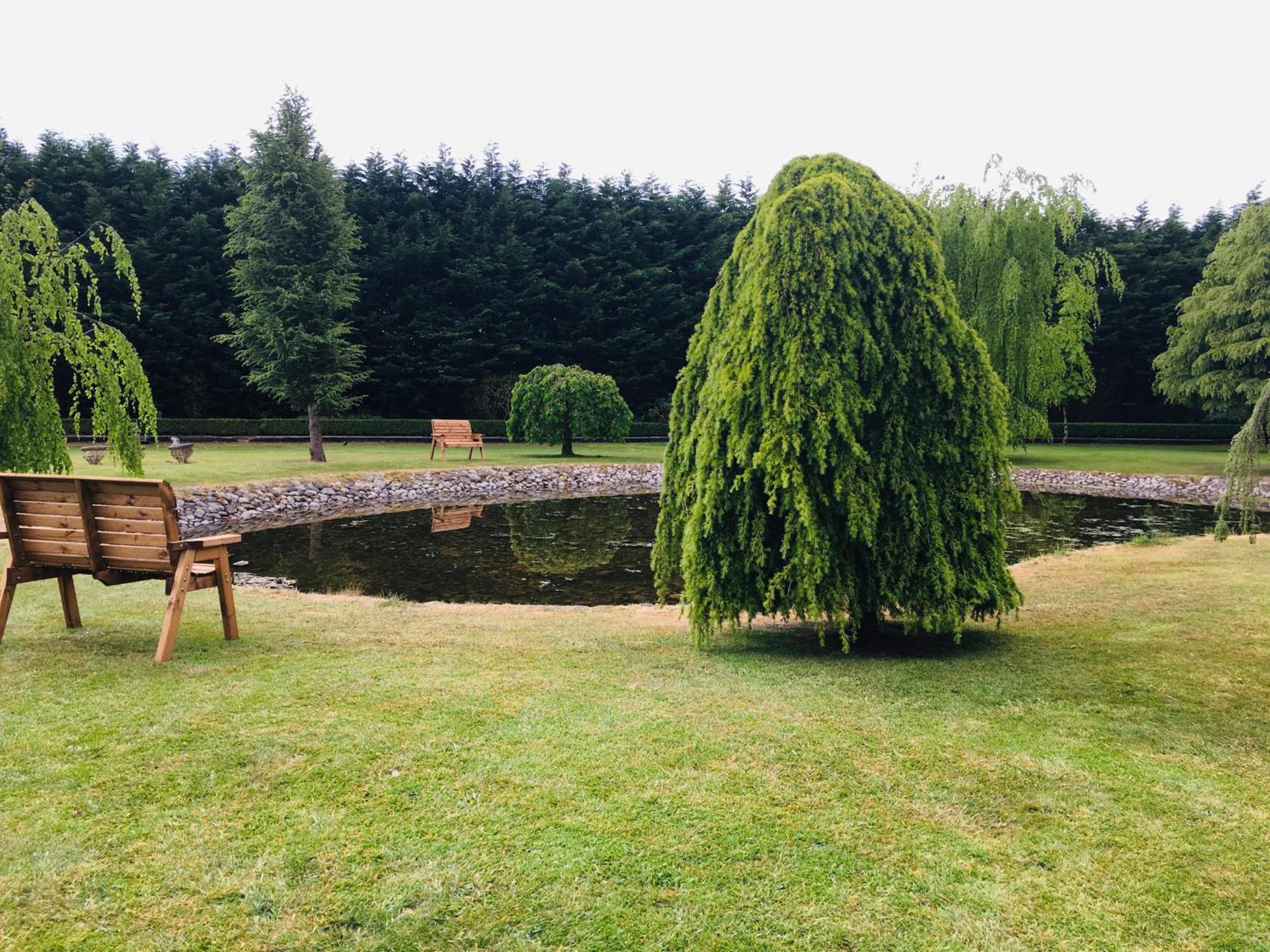 مبيت وإفطار سلايغو Castledale المظهر الخارجي الصورة