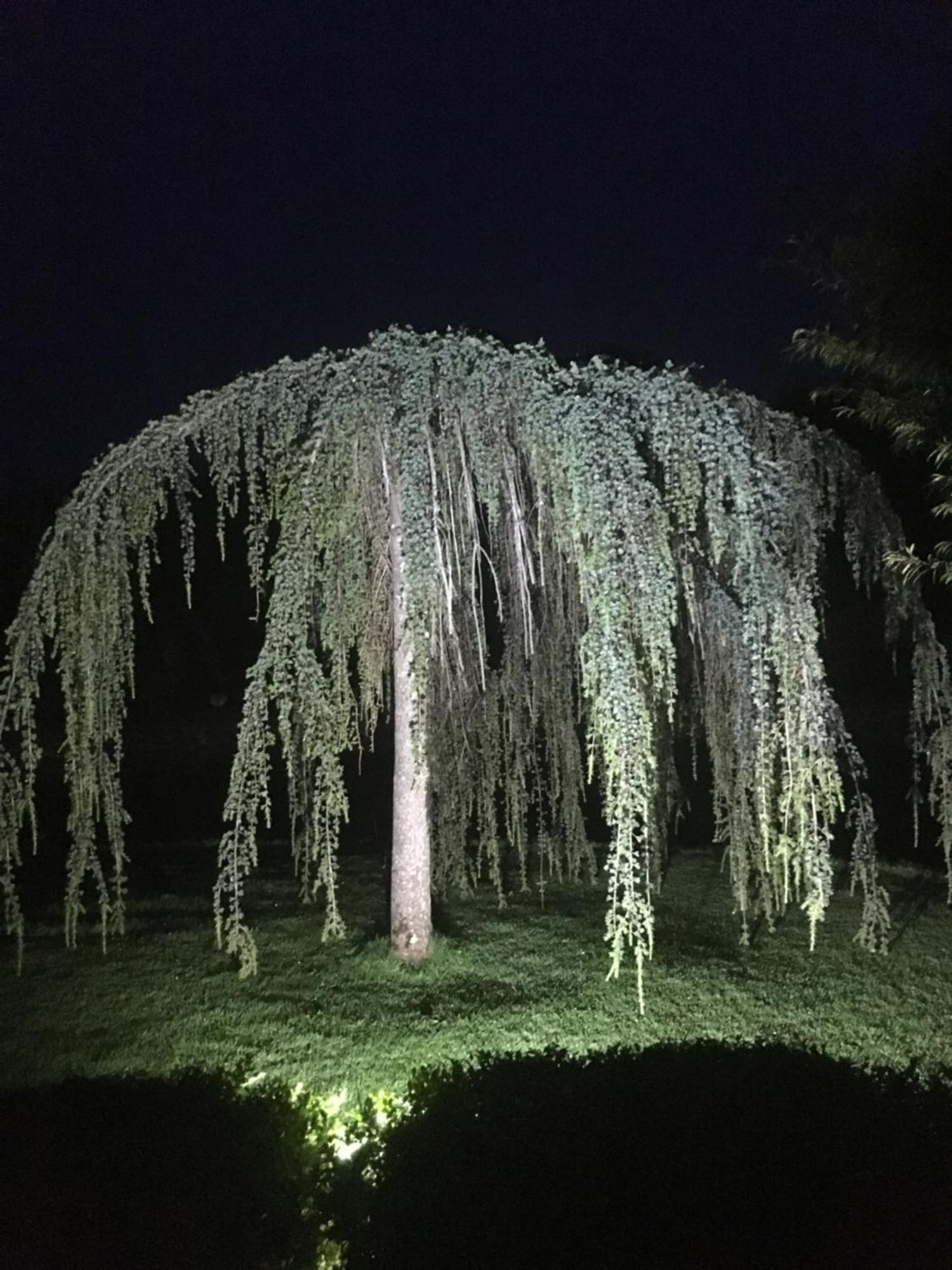 مبيت وإفطار سلايغو Castledale المظهر الخارجي الصورة